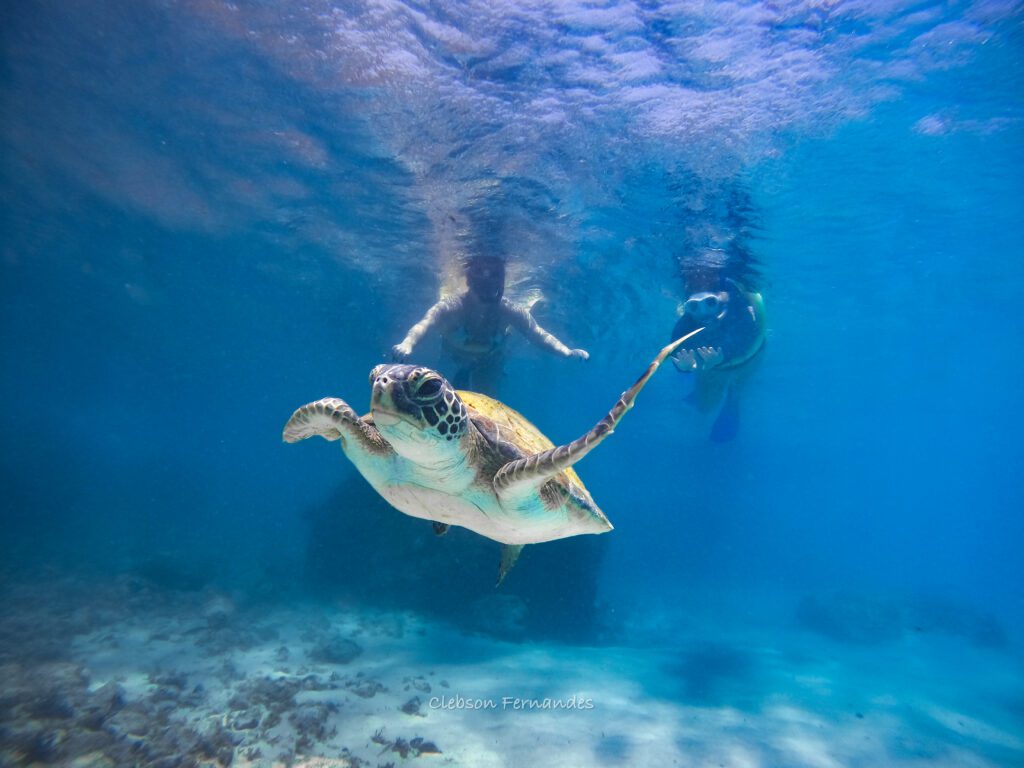 Snorkel em Arraial do Cabo