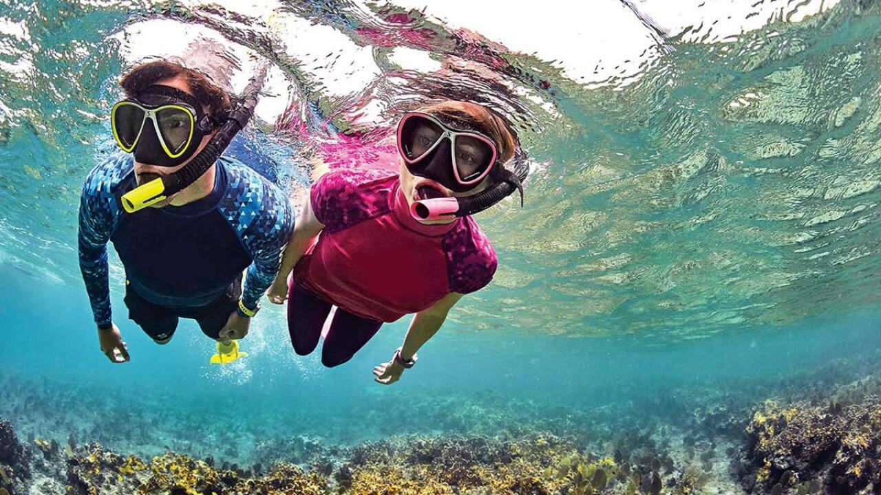 Explorando As Maravilhas Submarinas A Fascinante Experi Ncia De